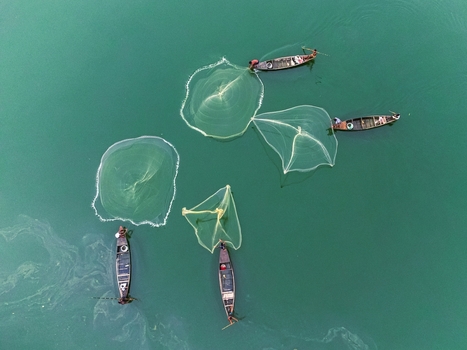 Khansama Upazila Bangladesh 11 June 2026 Aerial view of fishermen in small wooden boats casting circular nets into the green waters of a river.