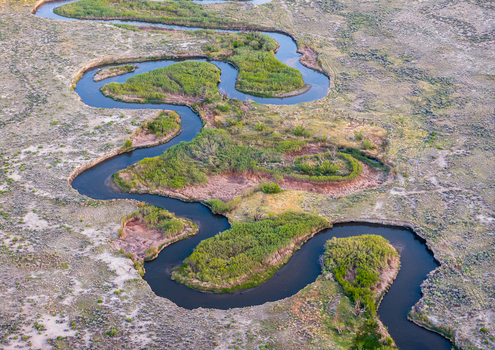 Aerial view of the meandering Owens River flowing through the arid landscape of the Owens Valley with lush green banks Inyo County California United States.