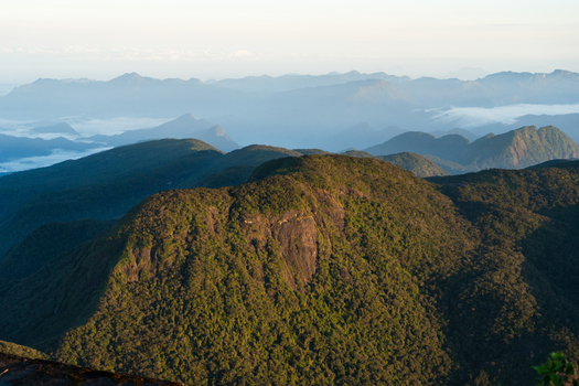 View of Adam s Peak and the surrounding lush green mountain ranges under a soft morning light in Ratnapura Sabaragamuwa Province Sri Lanka. View of Adam s Peak and the surrounding lush green mountain ranges under a soft morning light in Ratnapura Sabaragamuwa Province Sri Lanka.