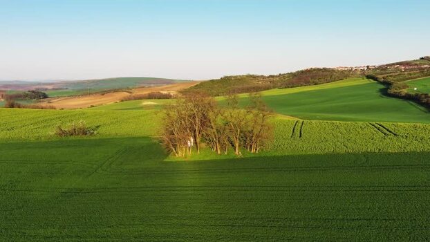 Aerial view of rolling green fields in South Moravian Region Czechia.