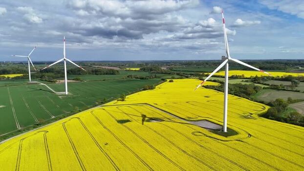 Aerial view of wind turbines in yellow rapeseed fields Germany. Aerial view of wind turbines in yellow rapeseed fields Germany.