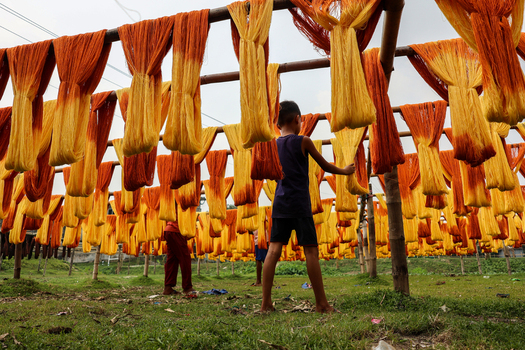 Narayanganj Bangladesh 29 March 2026 View of vibrant rows of dyed threads a symphony of golden yellows and fiery oranges drying in the open air casting shadows on the grassy ground. Narayanganj Bangladesh 29 March 2026 View of vibrant rows of dyed threads a symphony of golden yellows and fiery oranges drying in the open air casting shadows on the grassy ground.