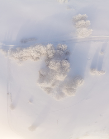 Aerial view of snow covered trees in a winter landscape in Latvia. Aerial view of snow covered trees in a winter landscape in Latvia.