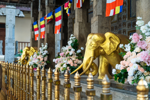 View of golden elephant statues decorated with flowers and Buddhist flags at the Temple of the Sacred Tooth Relic in Kandy Central Province Sri Lanka. View of golden elephant statues decorated with flowers and Buddhist flags at the Temple of the Sacred Tooth Relic in Kandy Central Province Sri Lanka.