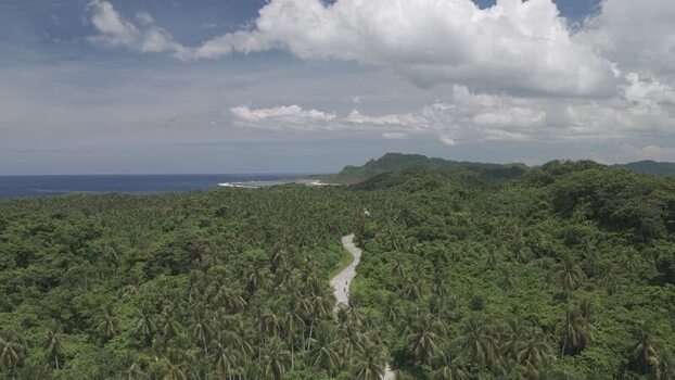 Aerial view of a winding road through palm forests in Philippines.