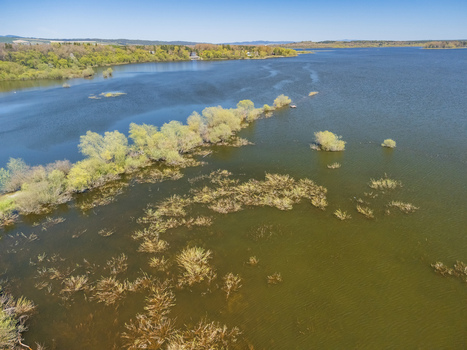 Aerial view of Oravska priehrada reservoir with trees submerged in water and lush green forests under a clear blue sky Namestovo Zilinsky kraj Slovakia. Aerial view of Oravska priehrada reservoir with trees submerged in water and lush green forests under a clear blue sky Namestovo Zilinsky kraj Slovakia.