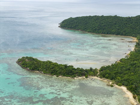 Aerial view of the lush green coastline meeting the turquoise waters at Annora beach a tropical paradise Karimunjawa Jawa Tengah Indonesia.