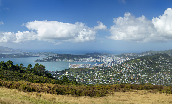View of the city skyline and harbor from a grassy hillside under a bright blue sky with fluffy white clouds in Wellington Wellington Region New Zealand.