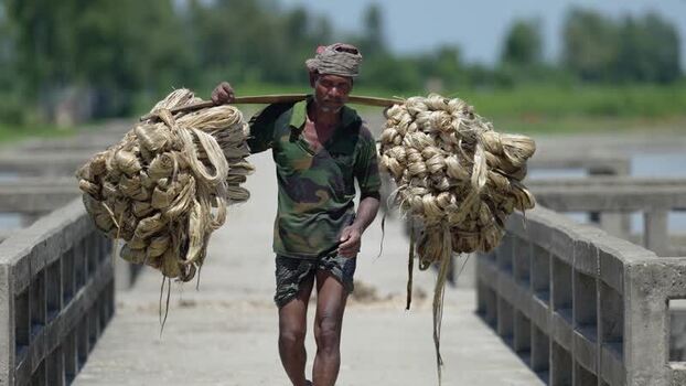 View of a man carrying jute bundles on a bridge Bangladesh.