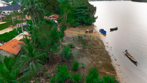 Aerial view of a riverbank in a rural area with wooden boats fishermen lush palm trees and small houses along the shore in Minima Rivers Nigeria.