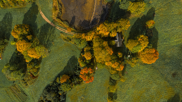 Aerial view of a rural landscape featuring vibrant autumn foliage a small house nestled among trees and a winding dirt path through green fields in Latvia. Aerial view of a rural landscape featuring vibrant autumn foliage a small house nestled among trees and a winding dirt path through green fields in Latvia.