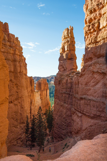 View of towering orange hoodoos and pine trees in Bryce Canyon National Park with people walking on a trail in Utah United States.