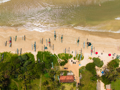 Aerial view of traditional outrigger fishing boats parked on the sandy shore of a tropical beach with turquoise waves and palm trees in Weligama Southern Province Sri Lanka.