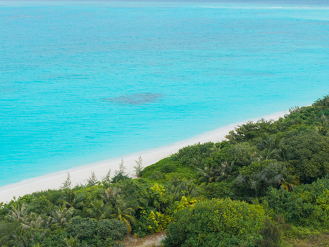 Aerial view of turquoise waters meet pristine white sands fringed by lush green vegetation Vashafaru Island Thiladhummathi Atoll Maldives. Aerial view of turquoise waters meet pristine white sands fringed by lush green vegetation Vashafaru Island Thiladhummathi Atoll Maldives.