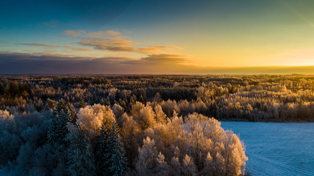 Aerial view of a frost covered forest landscape during a golden sunset in Latvia. Aerial view of a frost covered forest landscape during a golden sunset in Latvia.