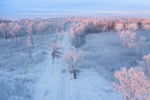 Aerial view of a snow covered road winding through a frost covered forest with a car driving during golden hour in Pilsrundale Bauska Municipality Latvia.