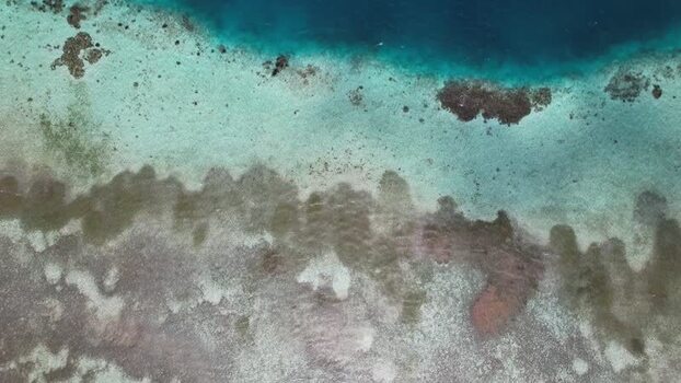 Aerial view of Los Roques archipelago coral reef Venezuela.