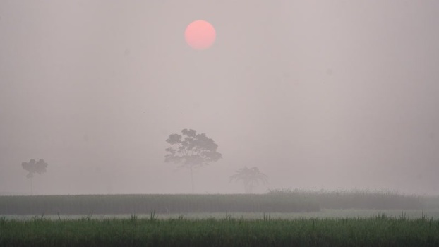 View of a pink sun over a hazy landscape in Bangladesh.