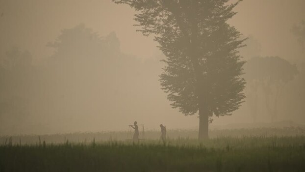 View of farmers walking in a misty field in Bogura Bangladesh. View of farmers walking in a misty field in Bogura Bangladesh.