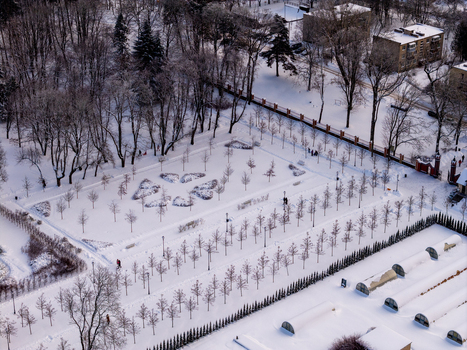 Aerial view of a snow covered park with rows of young trees and a dense forest area in winter Lithuania. Aerial view of a snow covered park with rows of young trees and a dense forest area in winter Lithuania.