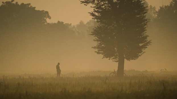 View of a person in a misty field at sunrise Bangladesh.
