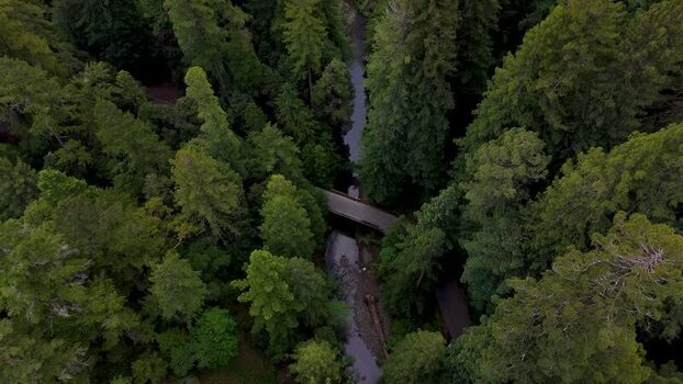 Aerial view of a bridge over a stream in a forest United States. Aerial view of a bridge over a stream in a forest United States.
