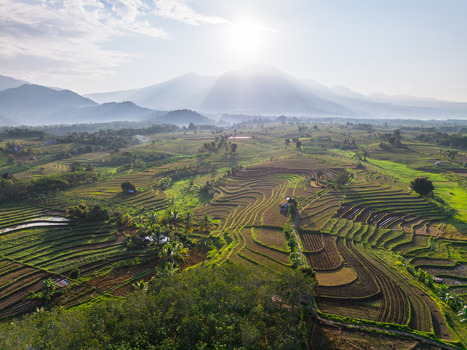 Aerial view of the lush Kemumu rice terraces with rolling hills and mountains under a bright sun in Arma Jaya Bengkulu Indonesia. Aerial view of the lush Kemumu rice terraces with rolling hills and mountains under a bright sun in Arma Jaya Bengkulu Indonesia.