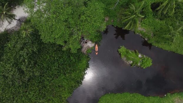 Aerial view of a person kayaking on a dark river in the jungle Maldives. Aerial view of a person kayaking on a dark river in the jungle Maldives.