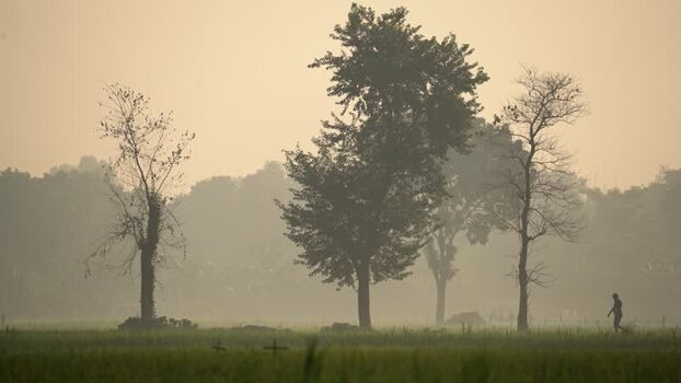 View of a person walking through misty fields in Bogura Bangladesh. View of a person walking through misty fields in Bogura Bangladesh.
