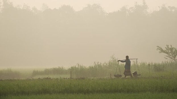 View of a man carrying a yoke in a foggy field in Bogura Bangladesh.