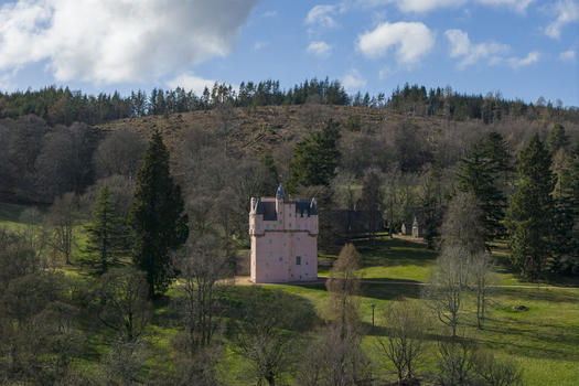 Aerial view of the pink Craigievar Castle with its pointed turrets and stone walls nestled among green fields and dense woodland in Craigievar Scotland United Kingdom.