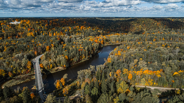 Aerial view of the Gauja River winding through a dense autumn forest with vibrant orange and yellow foliage featuring a bridge crossing the river in Sigulda Sigulda Municipality Latvia. Aerial view of the Gauja River winding through a dense autumn forest with vibrant orange and yellow foliage featuring a bridge crossing the river in Sigulda Sigulda Municipality Latvia.