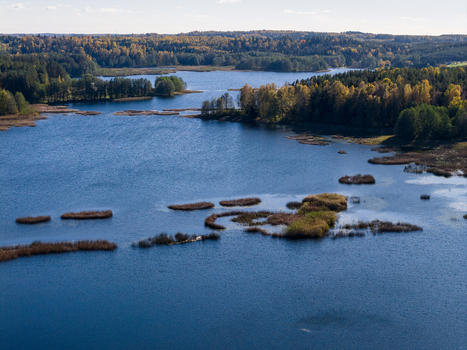 Aerial view of a serene lake with small reed islands surrounded by dense autumn forests under a clear sky Lithuania. Aerial view of a serene lake with small reed islands surrounded by dense autumn forests under a clear sky Lithuania.