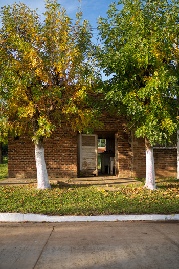 View of a rustic brick building with an open doorway framed by two trees with white painted trunks situated in Guaviravi Corrientes Province Argentina.