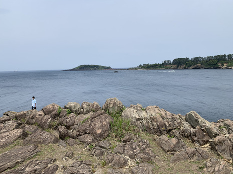 Japan 06 July 2026 View of a rocky coastline with a person standing on the shore overlooking the calm sea and a distant island under an overcast sky. Japan 06 July 2026 View of a rocky coastline with a person standing on the shore overlooking the calm sea and a distant island under an overcast sky.