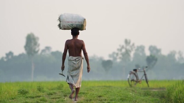 View of a farmer carrying a sack on his head in a field Bangladesh.