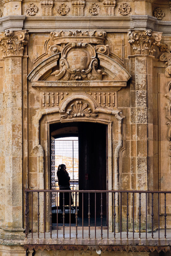 Salamanca Spain 01 December 2025 View of the ornate stone facade of the Pontifical University of Salamanca with a person standing on a balcony. Salamanca Spain 01 December 2025 View of the ornate stone facade of the Pontifical University of Salamanca with a person standing on a balcony.