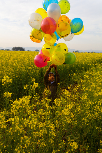 Jhelum Pakistan 29 January 2018 View of a young child holding a large bunch of colorful balloons while standing in a vibrant field of yellow mustard flowers.