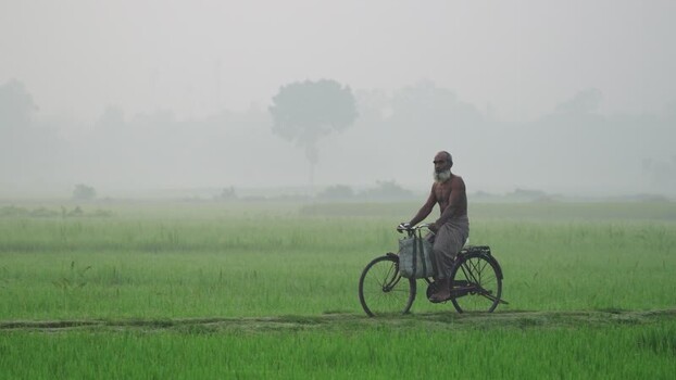 View of a man riding a bicycle through misty green fields Bangladesh.