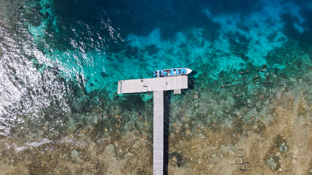 Aerial view of a wooden pier extending into the clear turquoise waters of the sea with a small boat docked at the end in Raja Ampat Southwest Papua Indonesia.