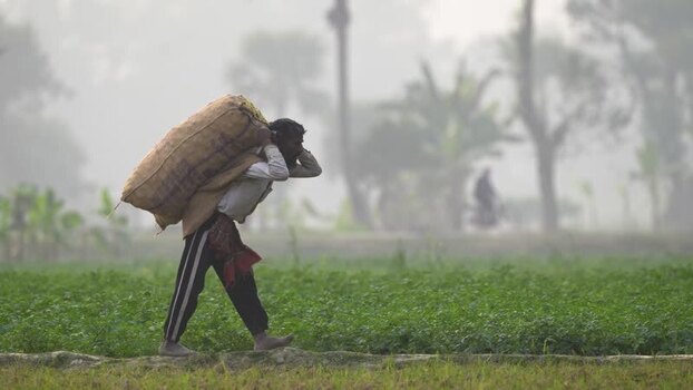 View of a man carrying a heavy sack in a misty field Bangladesh.
