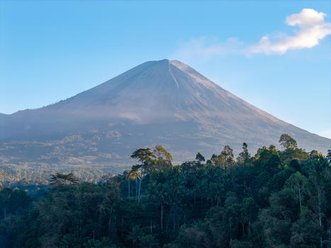 Aerial view of Mount Semeru peak rising above lush tropical forests under a clear blue sky in Kecamatan Pronojiwo Jawa Timur Indonesia.