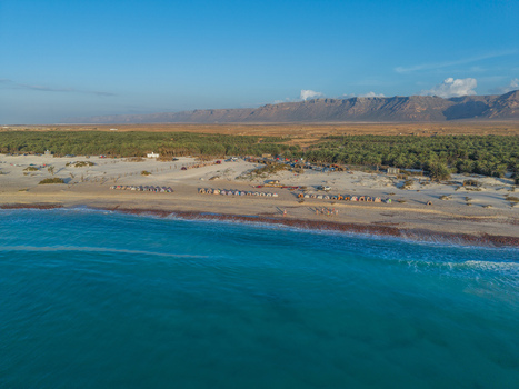 Aerial view of the serene coastline meeting the verdant palm groves and rugged mountains under a vast blue sky Kadrihnitin Socotra Yemen. Aerial view of the serene coastline meeting the verdant palm groves and rugged mountains under a vast blue sky Kadrihnitin Socotra Yemen.