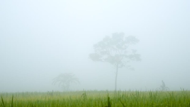 View of a person cycling through a foggy field in Bogura Bangladesh. View of a person cycling through a foggy field in Bogura Bangladesh.