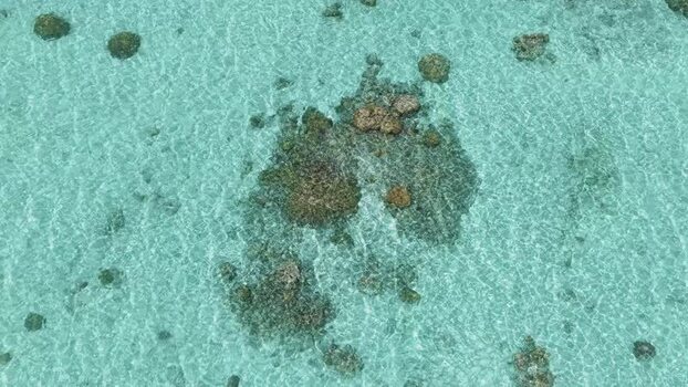 Aerial view of coral reefs in clear turquoise water Maldives. Aerial view of coral reefs in clear turquoise water Maldives.