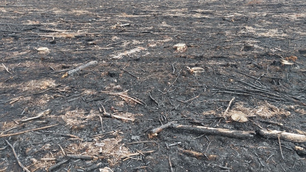 Aerial view of the aftermath of a wildfire in Tsitsikamma Eastern Cape South Africa. Aerial view of the aftermath of a wildfire in Tsitsikamma Eastern Cape South Africa.