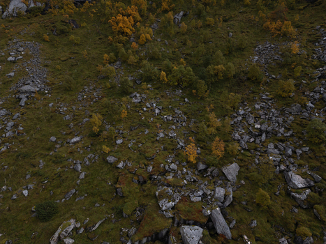 Aerial view of a rocky hillside with scattered boulders and yellow autumn trees in Leknes Nordland Norway. Aerial view of a rocky hillside with scattered boulders and yellow autumn trees in Leknes Nordland Norway.