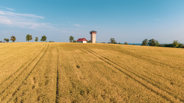 Aerial view of Rozhledna U Borovice observation tower standing amidst a vast golden wheat field under a clear blue sky in Semily Liberecky kraj Czechia. Aerial view of Rozhledna U Borovice observation tower standing amidst a vast golden wheat field under a clear blue sky in Semily Liberecky kraj Czechia.