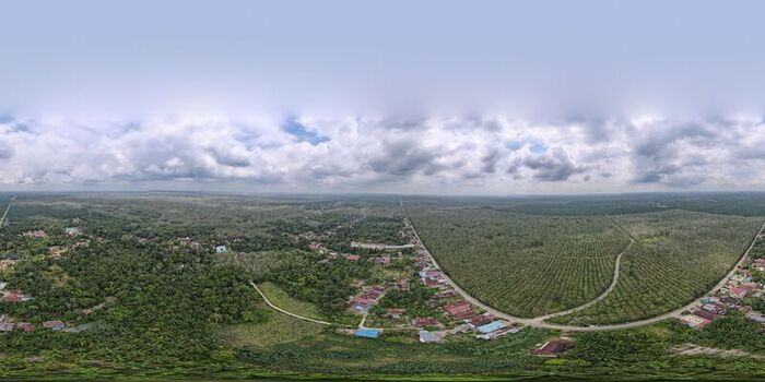 Aerial view of the Tara Bunga area in Tampahan featuring vast palm oil plantations winding rural roads scattered residential houses and a cloudy sky in Tampahan North Sumatra Indonesia. Aerial view of the Tara Bunga area in Tampahan featuring vast palm oil plantations winding rural roads scattered residential houses and a cloudy sky in Tampahan North Sumatra Indonesia.