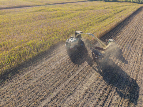 Green Bay Wisconsin United States 25 September 2026 Aerial view of a forage harvester chopping corn for silage in a field.